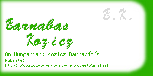 barnabas kozicz business card